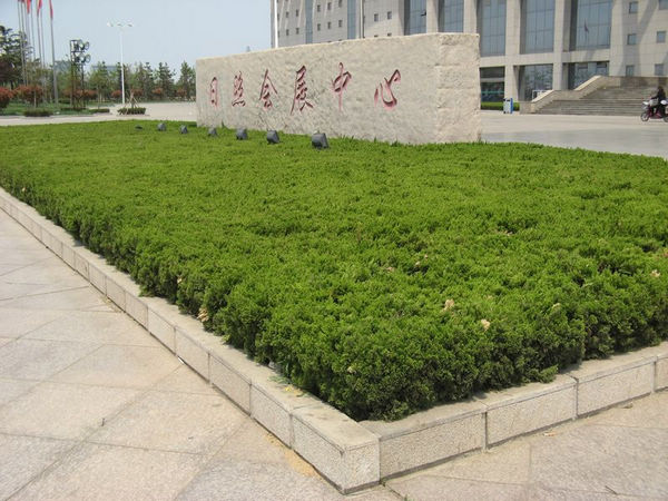 五蓮紅刻字石